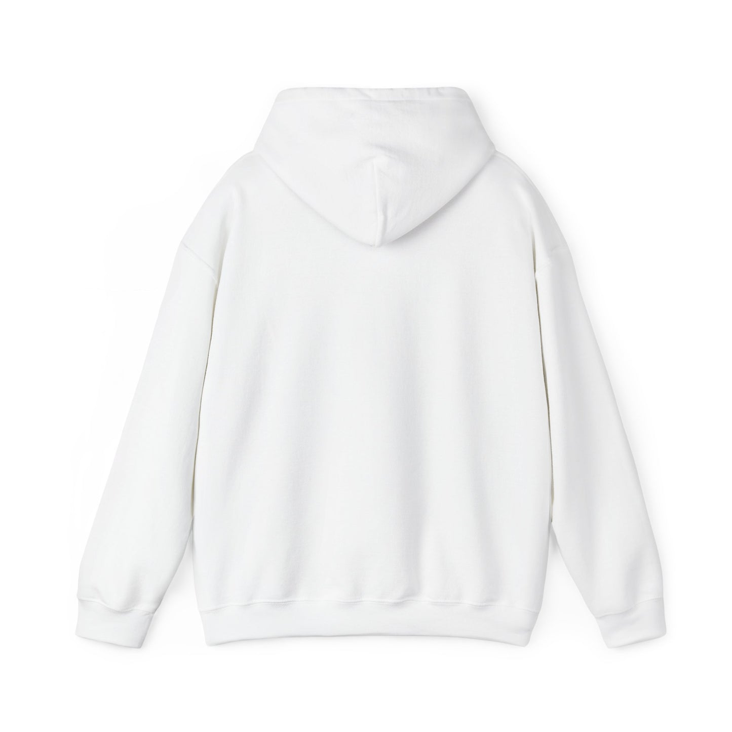 Dream Big! – Inspirational Hoodie