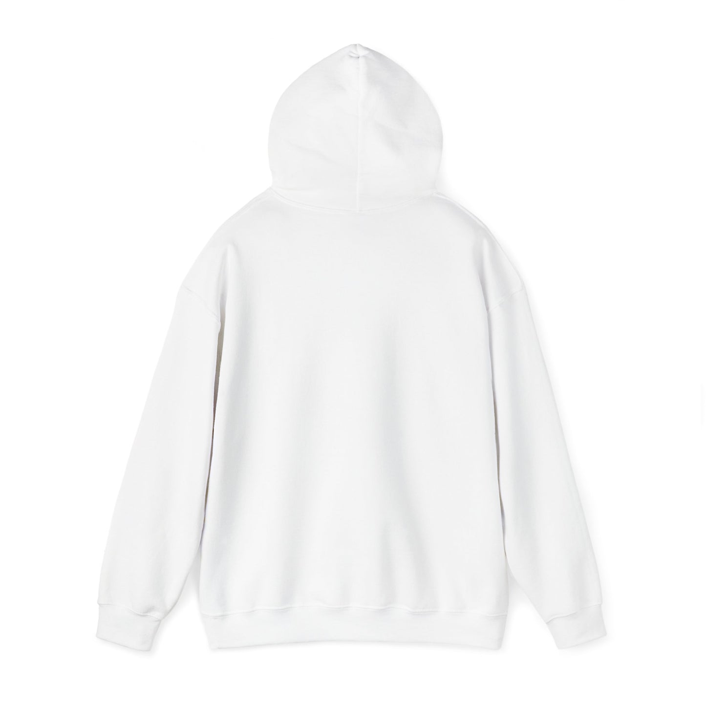 Dream Big! – Inspirational Hoodie